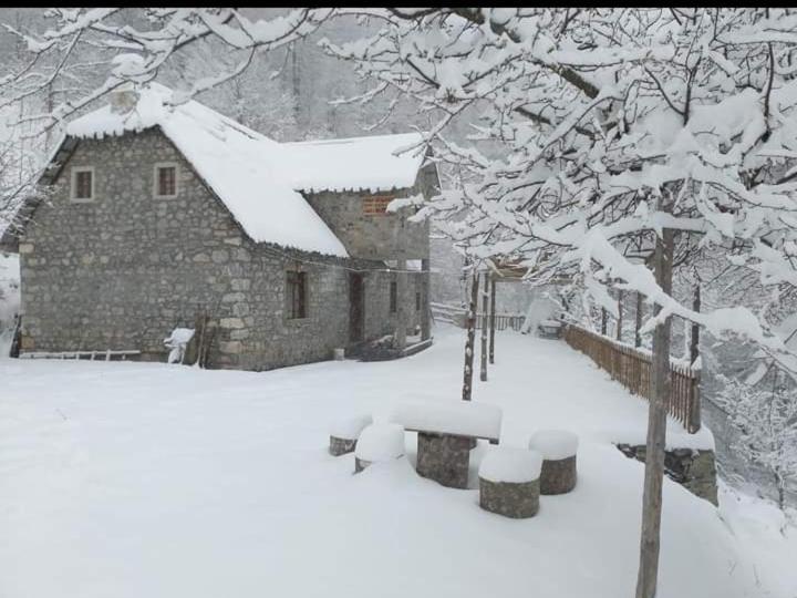 Guest House Gjelaj Тет Екстериор снимка