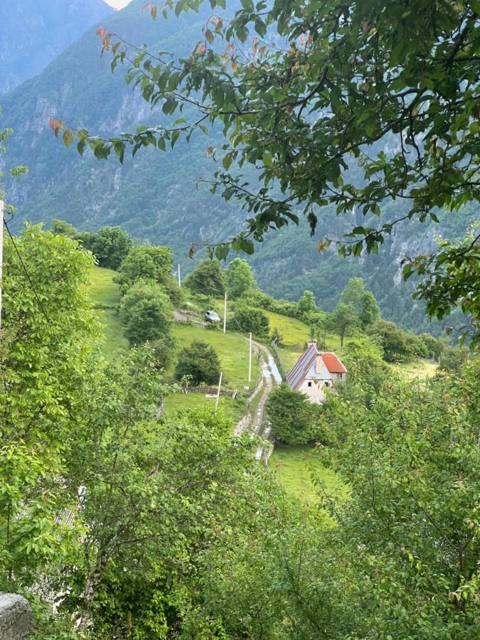 Guest House Gjelaj Тет Екстериор снимка
